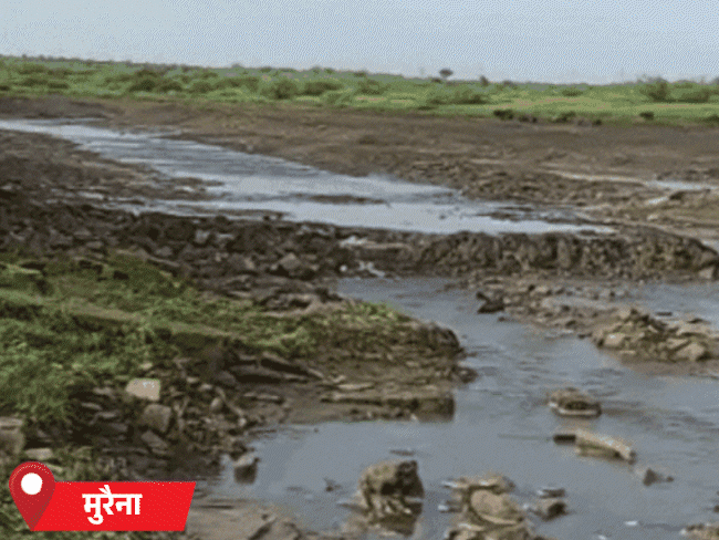 14 जिलों में भारी बारिश का अलर्ट..श्योपुर में बुजुर्ग बहा:मुरैना में डैम टूटा, खेतों में भरा पानी, छतरपुर में उफनता नाला पार कर रहे लोग