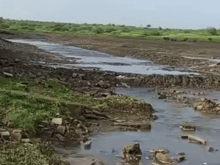 जौरा में तेज बारिश से डेम टूटा:सोयाबीन और तिल की 20 बीघा फसल बर्बाद, किसानों ने मांगा मुआवजा